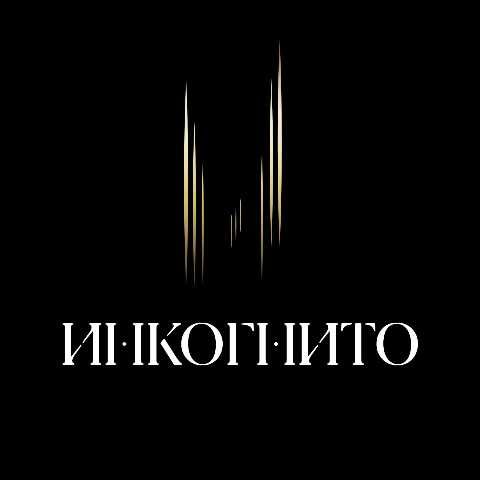 БК Инкогнито